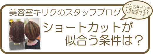 ブログ記事「ショートカットが似合う条件は？